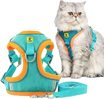 A+a Pets' Suede Harness & Leash Set for Cats, Small Dogs | Escape Proof | Night Safety Reflective Strips | 2 Leash Points (M, Green) : Amazon.in: